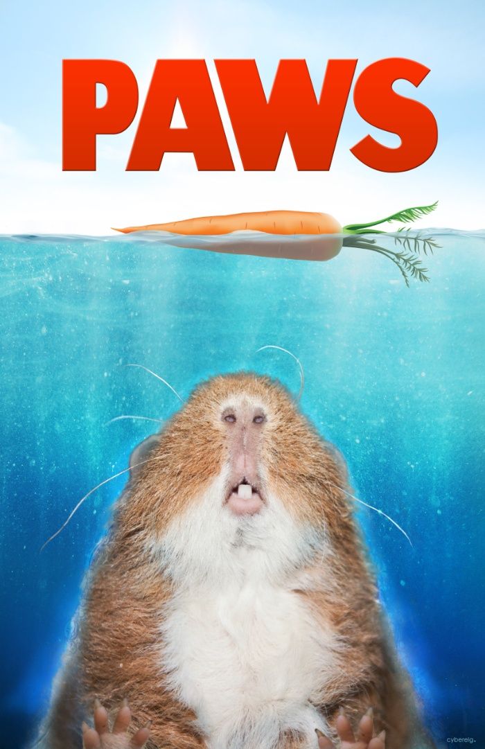 Carrots should be kept as occasional treats for guinea pigs - Gaia Vets.jpg