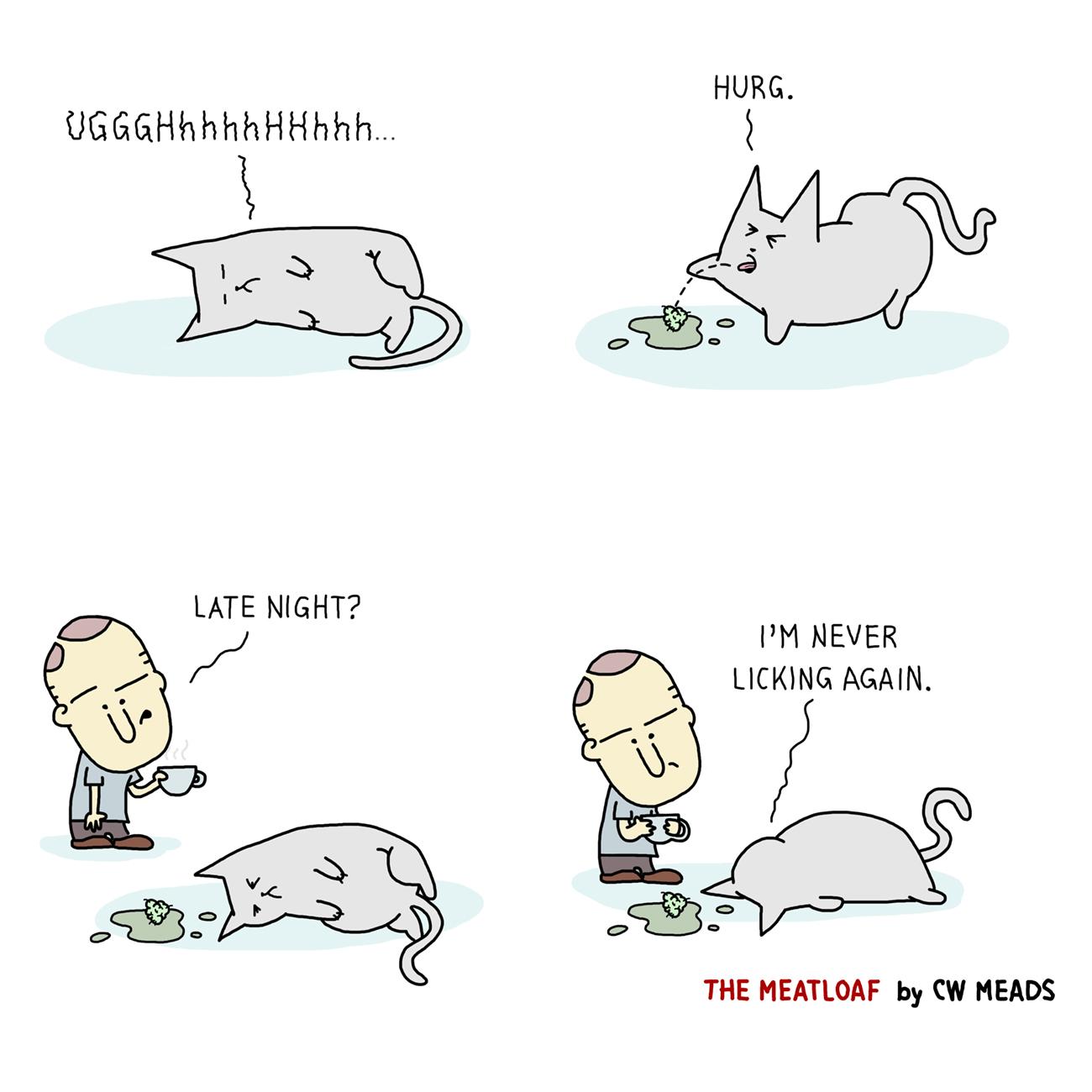 Comic on cat hairballs - Gaia Vets.jpg