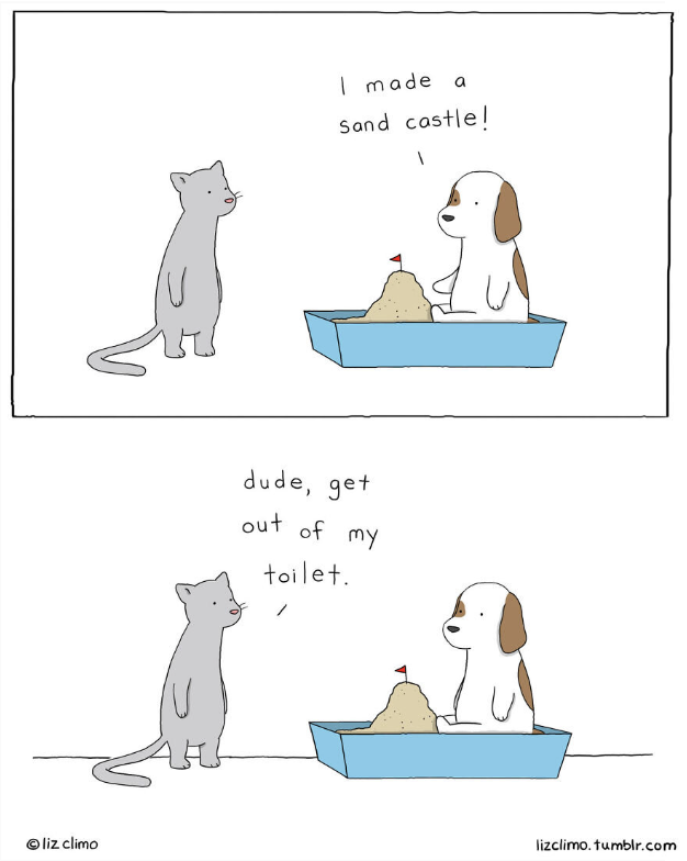 Cat and the litter box