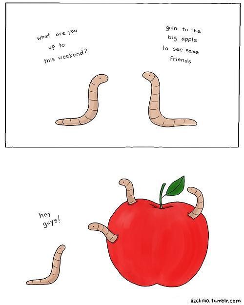 Worms are indeed everywhere.jpg